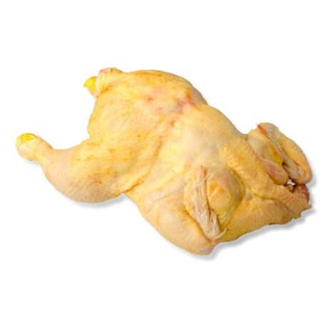 Pollo Amarillo Aldelis (Crecimiento Lento)