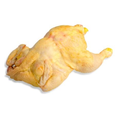 Pollo Amarillo Aldelis (Crecimiento Lento)